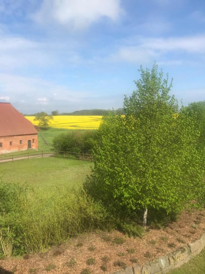 Schmuckstueck In Ostseenaehe Surendorf Eksteriør bilde
